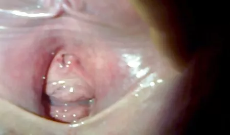 Ha fatto regali video porno tra moglie e marito alla compagnia e un buco per il tuo viso.