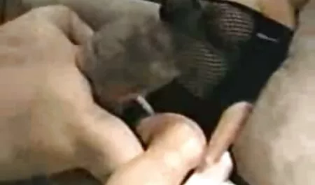 Pervertito cane mogli condivise porno bianco, un nero,